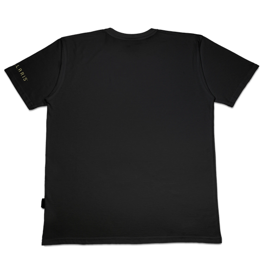 T-shirt Travel with Stargates
