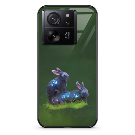 #model_xiaomi-xiaomi-13t-pro